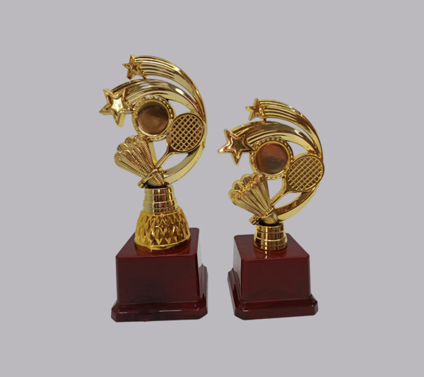 badminton trophy Collection in pune