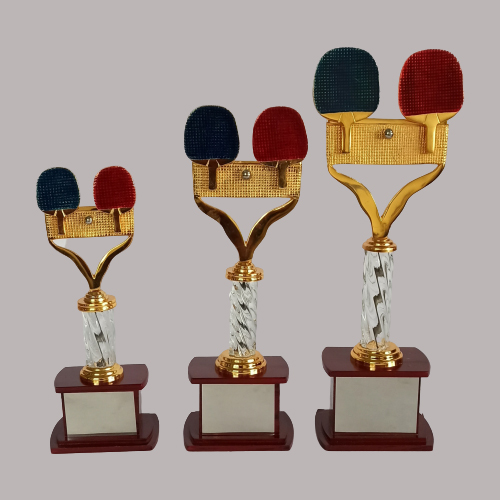 table tennis trophy Collection in pune