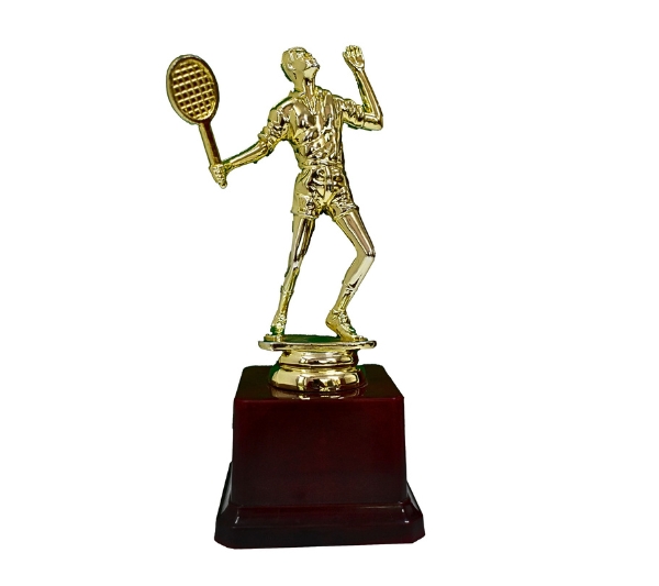 badminton trophy suppliers in pune