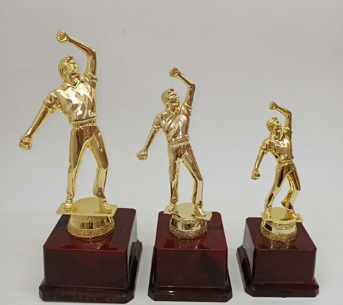bowling trophy suppliers in pune