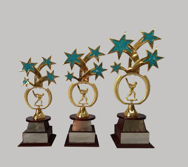 Cricket Trophies Suppliers in Pune
