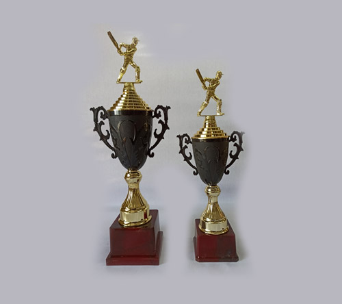best cricket trophies