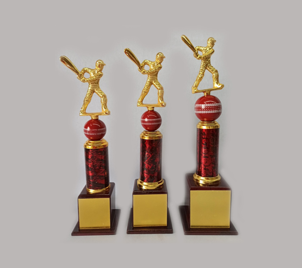 Cricket
                                                Trophy Collection