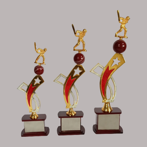 leading and best shop in pune