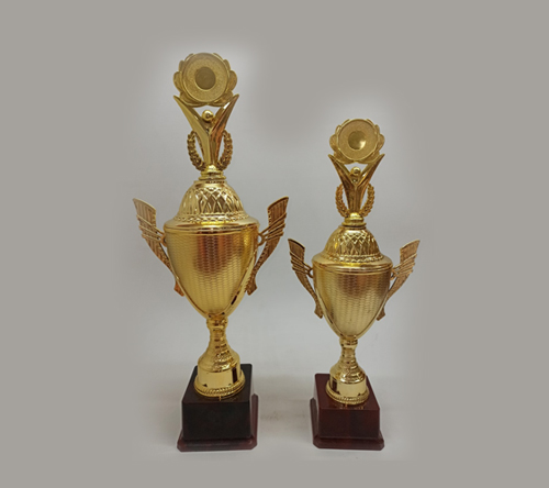 team-image